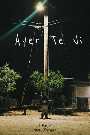 Постер: Ayer Te Vi