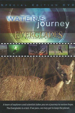 Постер: Water's Journey - Everglades: Restoring Hope