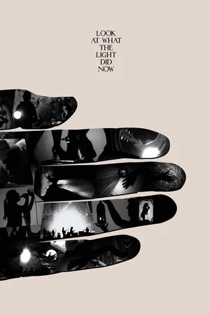 Постер: Look at What the Light Did Now
