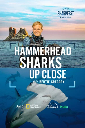 Постер: Hammerhead Sharks Up Close with Bertie Gregory