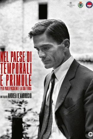 Постер: Nel paese di temporali e di primule - Pier Paolo Pasolini e la sua terra