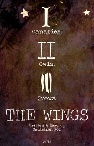 Постер: The Wings
