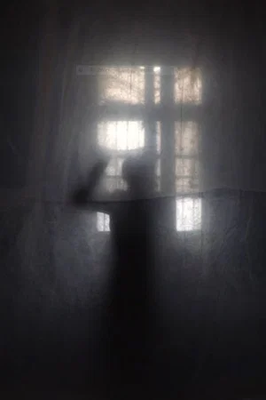 Постер: Self-Portrait: Window in 47KM