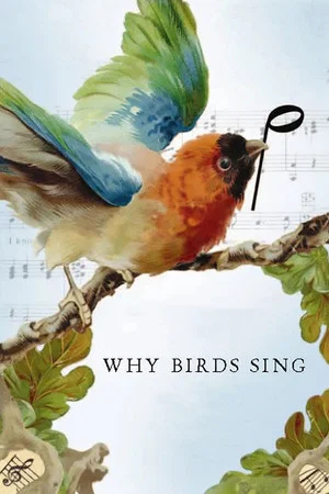 Постер: Why Birds Sing
