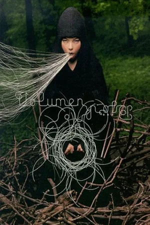 Постер: Björk: Volumen Plus