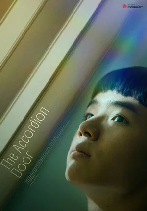 Постер: The Accordion Door