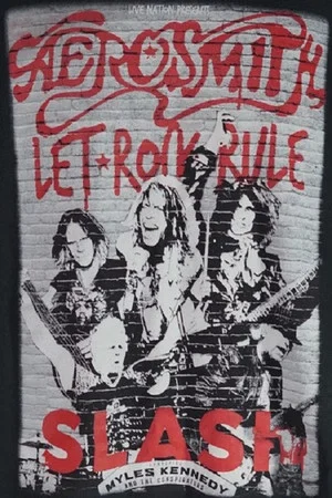 Постер: Aerosmith Let Rock Rule Tour