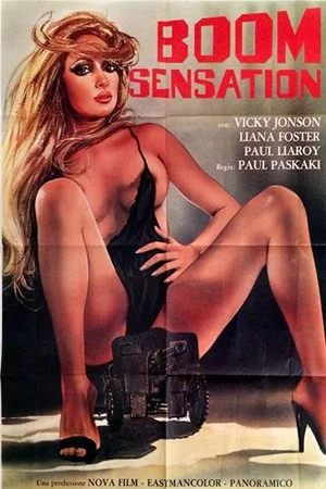 Постер: Boom Sensation