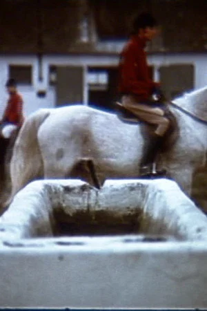 Постер: A Threnody For The Town Of Szydłów