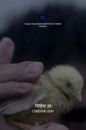 Постер: Fly, Bird
