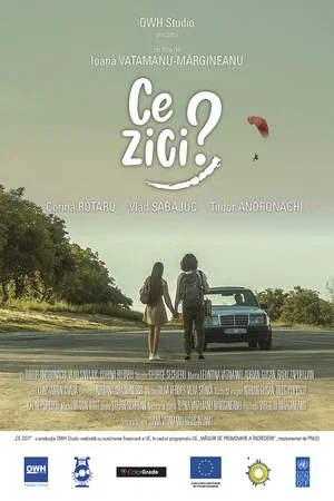 Постер: Ce zici?