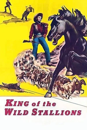 Постер: King of the Wild Stallions