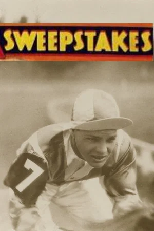Постер: Sweepstakes