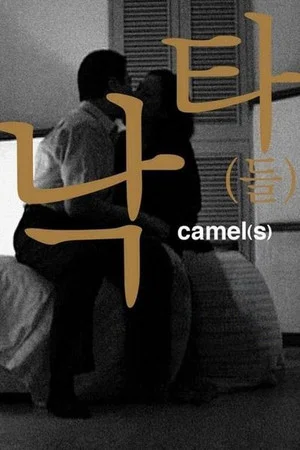 Постер: Camel(s)