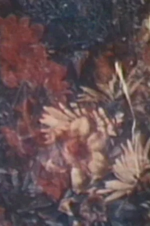 Постер: Flowers