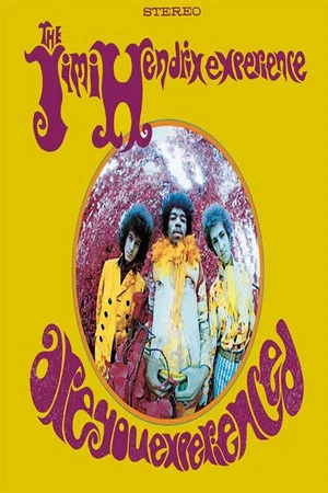 Постер: Are You Experienced: An Inside Look