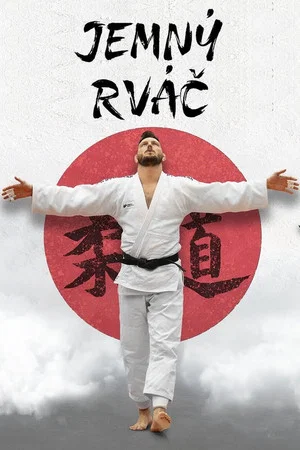 Постер: The Gentle Fighter