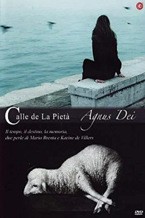 Постер: Calle de la pietà