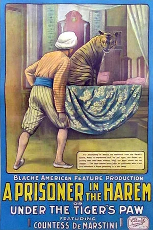 Постер: A Prisoner in the Harem