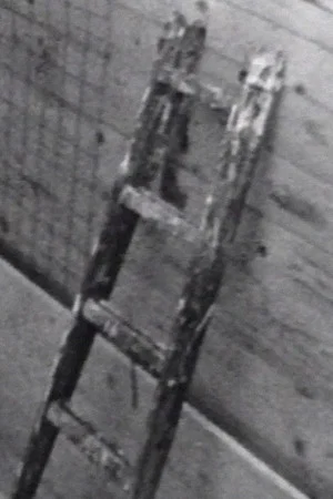 Постер: Wall