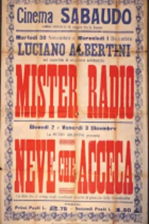 Постер: Mister Radio
