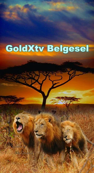 Постер: Belgesel:
