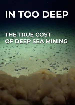 Постер: In Too Deep - The True Cost of Deep Sea Mining