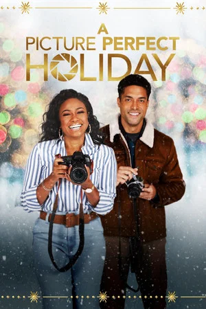 Постер: A Picture Perfect Holiday