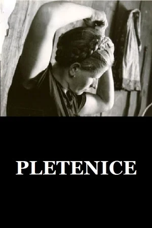 Постер: The Plaits
