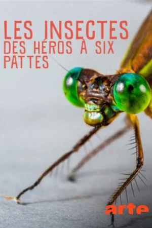 Постер: Insekten, Superhelden auf sechs Beinen