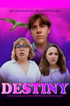 Постер: Destiny