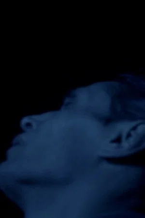 Постер: Halves through the Night