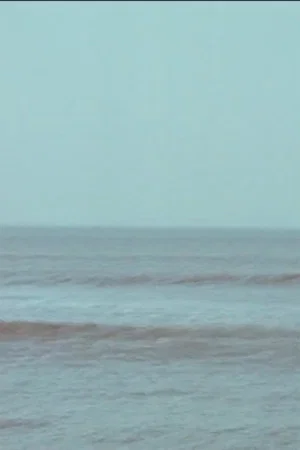 Постер: Vibrating Horizon