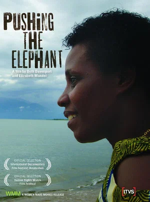 Постер: Pushing the Elephant