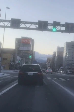 Постер: Letter from Sapporo