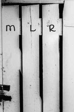 Постер: Momentary Lapse of Reason