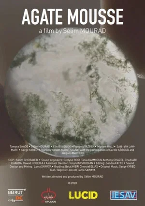 Постер: Moss Agate
