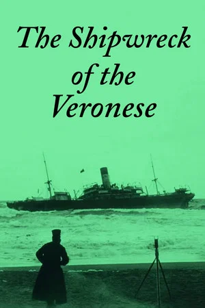 Постер: The Shipwreck of the Veronese