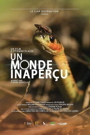 Постер: Un monde inaperçu