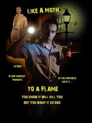 Постер: Like a Moth to a Flame