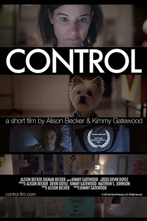 Постер: Control