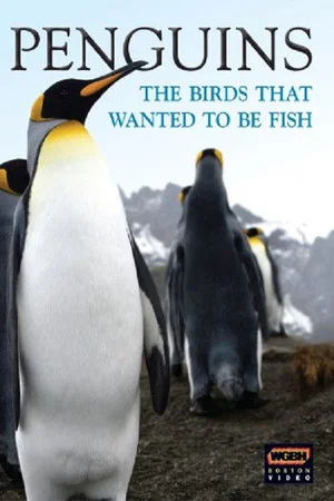 Постер: Penguins: The Story of the Bird that wanted to be Fish