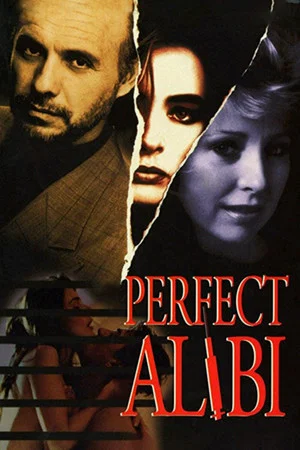 Постер: Perfect Alibi