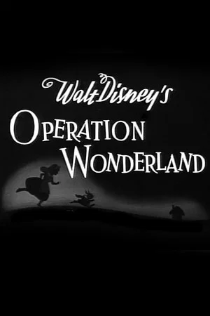 Постер: Operation Wonderland