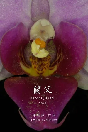 Постер: Orchi(D)ad