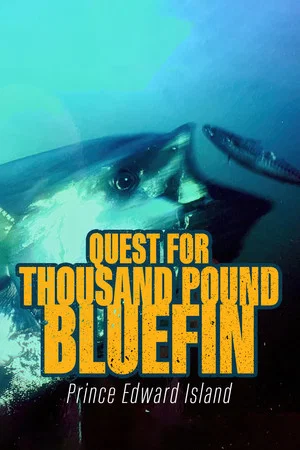 Постер: Quest for Thousand-Pound Bluefin: Prince Edward Island