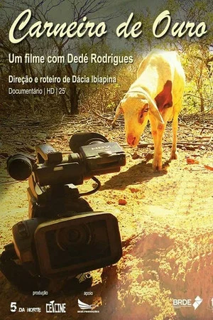 Постер: Carneiro de Ouro