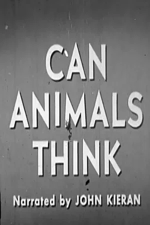 Постер: Can Animals Think