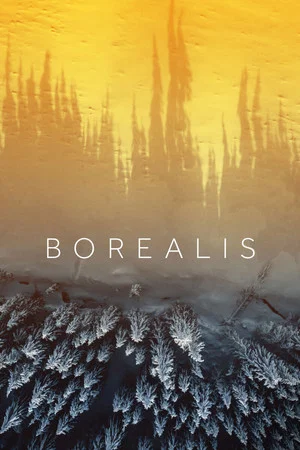 Постер: Borealis