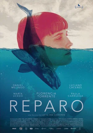 Постер: Reparo